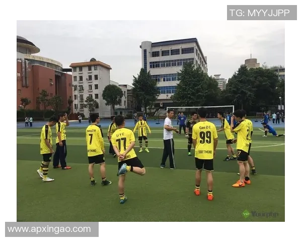 哈尼足球的崛起与发展探索民族文化与体育精神的完美结合